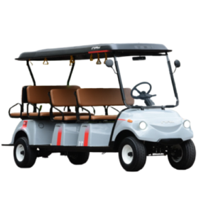 Maini Buggy - Golf Cart 8/11/14 Seater